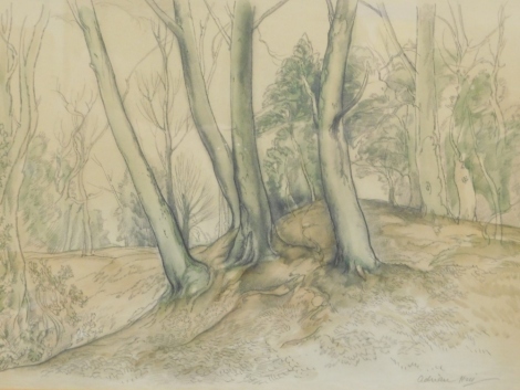 Keith Graham Hill (1895-1977). Forest trees, mixed media, print, possibly hand touched, 33cm x 48cm.