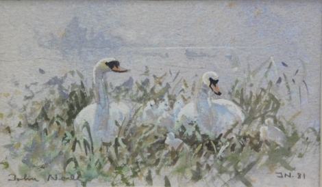 Don Neale (1926-2020). Swans, watercolour, signed, initialled and dated (19)81, 10cm x 17cm.