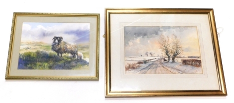 O. Morton. Ram and sheep in landscape, watercolour, 25cm x 34cm, and a watercolour by Robin Furness, titled January Neasham Lane. (2)