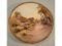 A Royal Worcester transfer printed decorative plate