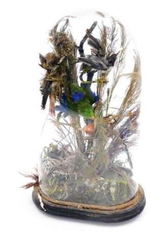 Taxidermy; A Victorian ornithological display, containing five birds and dried rushes, on a simulated naturalistic base, contained in a glass dome, the dome 42cm high.