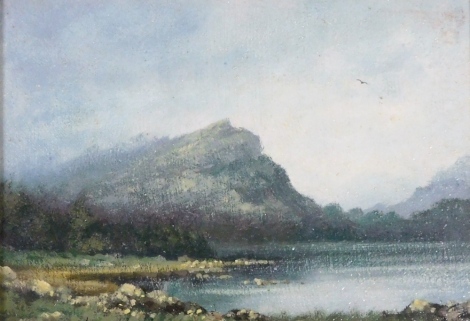 James Wright (b.1935). Study of a lake before mountains, oil on board, signed, 12cm x 16.5cm.