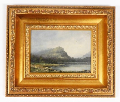 James Wright (b.1935). Study of a lake before mountains, oil on board, signed, 12cm x 16.5cm. - 2