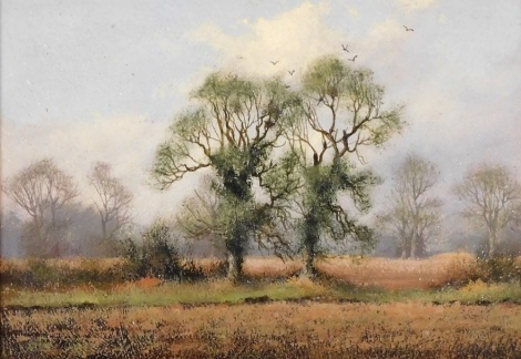 James Wright (b.1935). Study of trees in rural landscape, oil on board, signed, 12.5cm x 16.5cm.