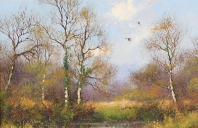 James Wright (b.1935). Rural scene depicting lake and trees, with birds in flight, oil on board, signed, 10.5cm x 15.5cm.