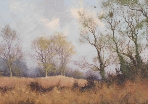 James Wright (b.1935). Woodland landscape, oil on board, signed, 12cm x 17cm.