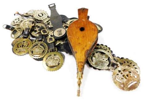 Various horse brasses, mainly leather backed, together with a pair of early 20thC brass and leather fire bellows, with floral and swirl decoration to the body, 37cm long.