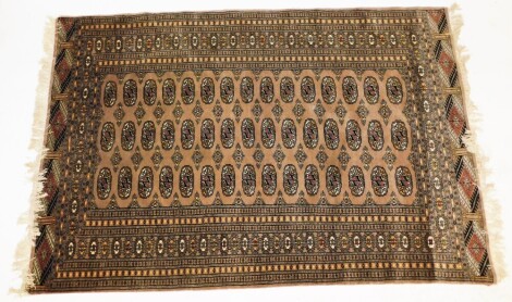 A Bokhara brown ground rug, decorated with three rows of fifteen guls, within repeating floral and geometric borders, 188cm x 130cm.