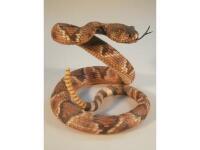 Country Artists figure of a coiled rattlesnake