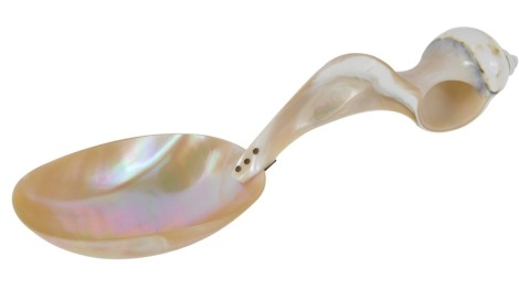 A polished shell formed spoon, with an oval bowl, and stemmed shell handle, 23cm wide.