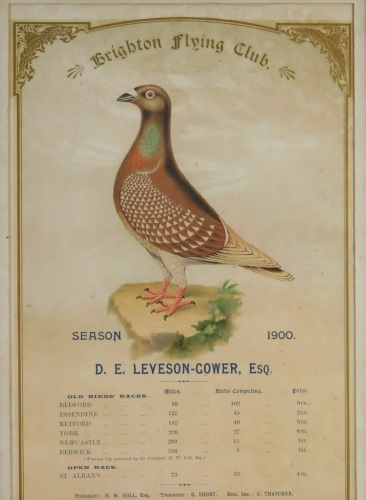 Brighton Pigeon Flying Club interest, an Edwardian print, for season 1900, marked D E Leveson-Gower esq.