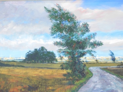 Richard Whitton. North Lincolnshire landscape, oil on canvas, 50cm x 75cm.