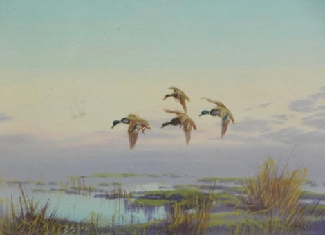 20thC School. Ducks in flight, watercolour, gouache, unsigned, 18cm x 28cm and another by the same hand - pair. (2)