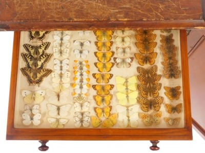 A Victorian mahogany collector's cabinet, the panelled door opening to reveal twelve drawers, each containing specimens of butterflies, moths, beetles, dragonflies and other insects, raised on a plinth base, with key, 87cm high, 52cm wide, 48cm deep. - 3