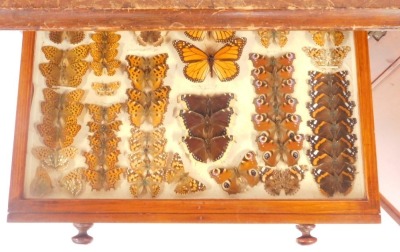 A Victorian mahogany collector's cabinet, the panelled door opening to reveal twelve drawers, each containing specimens of butterflies, moths, beetles, dragonflies and other insects, raised on a plinth base, with key, 87cm high, 52cm wide, 48cm deep. - 4