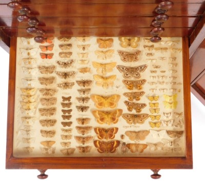 A Victorian mahogany collector's cabinet, the panelled door opening to reveal twelve drawers, each containing specimens of butterflies, moths, beetles, dragonflies and other insects, raised on a plinth base, with key, 87cm high, 52cm wide, 48cm deep. - 10