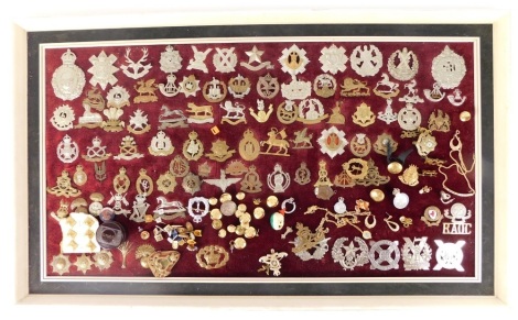 A quantity of various cap badges, early 20thC, to include Quis Separabit, 5cm high, various other regiments, Army Service, Royal Corps De Signals, various other, on a velvet frame backing, with various buttons, badges, stick pins, etc. (a quantity)