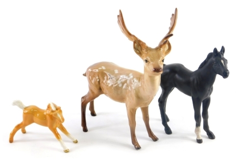 A Beswick pottery figure of a stag, 18cm high, matt finish foal, and a palomino foal. (3)