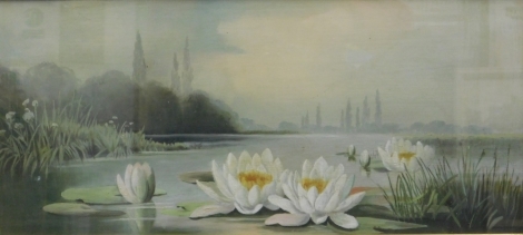 19thC English School. Lily pond, oil on canvas, unsigned, 25cm x 53cm.