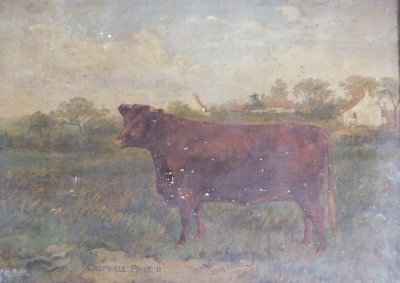 Charles E. M. Baldock (1876-1941). Cropwell Pride II, oil on canvas, signed and dated 1903, 30cm x 39.5cm, together with a photograph of the artist, a photograph of his grandmother and three related prints by the artist. - 2