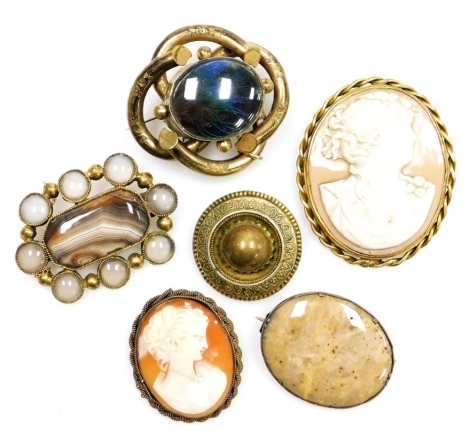 Victorian and later brooches, including an agate set brooch, cameo brooch, and a brooch set with a feather. (a quantity)