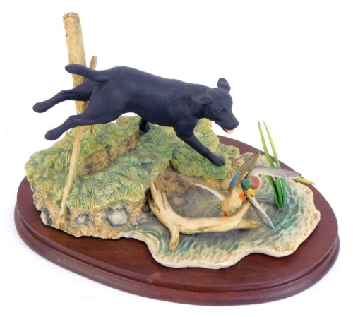 A Border Fine Arts animal figure group, comprising black Labrador chasing ducks, limited edition 345/1500, signed Ayres, stamped 1988, 18cm high, 29cm wide.