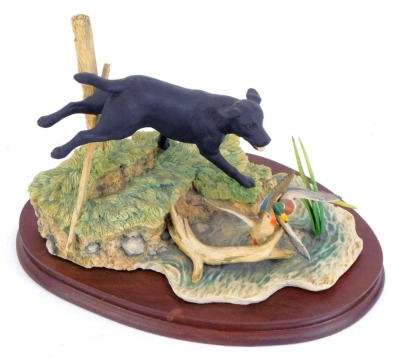 A Border Fine Arts animal figure group, comprising black Labrador chasing ducks, limited edition 345/1500, signed Ayres, stamped 1988, 18cm high, 29cm wide.