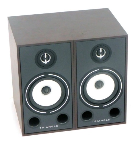 A pair of Triangle Borea BR03 speakers, serial no 0003-20-TEB35-V-V1-0755.