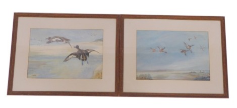 T Riley (20thC School). Duck and geese in flight, watercolours, signed, 28cm x 42cm, framed and glazed. (2)