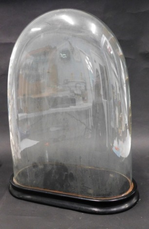 A glass arched shaped dome, on ebonised base, 44cm high overall, the dome approximately 43cm high, 33cm wide, 10cm deep.