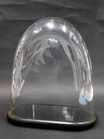 A glass dome, on ebonised stand terminating in compressed feet, 36cm high overall, the dome approximately 34cm high, 32cm wide, 10cm deep.