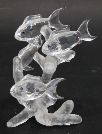 A Swarovski Crystal figure group of fish, in clear and frosted crystal, 10cm high.
