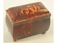 A mid 19thC tortoiseshell and pewter strung tea chest with a domed lid and brass bun feet