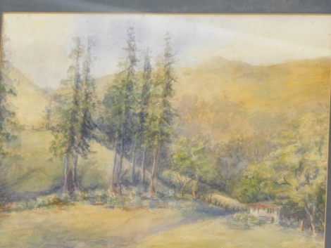 B. V. (20thC). Hut in a forest landscape with hills in the distance, watercolour, initialled, 37cm x 46cm.