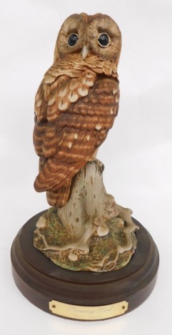 A Royal Doulton limited edition sculpture Tawny Owl, DA156, no. 199/2500, on plinth base, 33cm high.