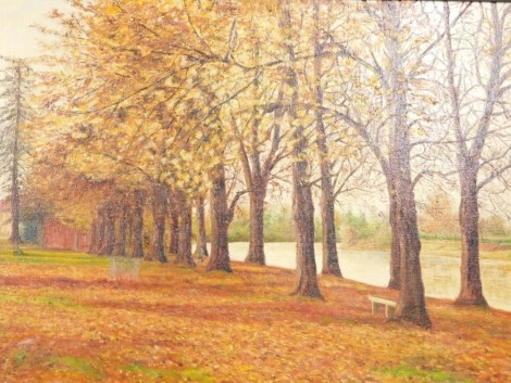 Adrian Brett (20thC). Autumnal landscape, trees and calm water, oil on canvas, signed, 50cm x 76cm.