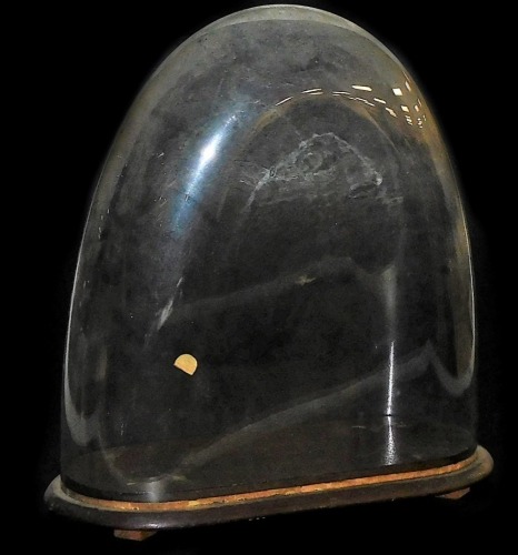 A glass dome, of arched form, with mahogany base, possibly for a clock, 49cm high, 44cm wide.