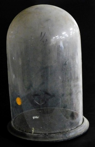 A glass dome, on an ebonised base, 43cm high.