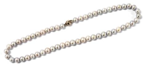 A cultured pearl necklace, with uniform silver lustre, on a magnetic clasp, 42cm wide.