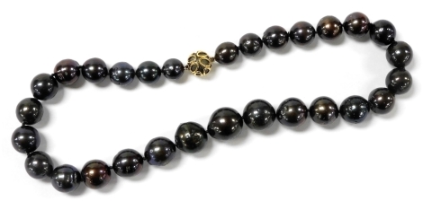 A black cultured pearl necklace, the graduated pearls from 12-17mm, on a magnetic clasp, 43cm wide.