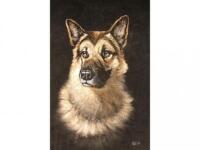 Robert Ixer. Head of an Alsatian. Acrylic on velvet. Signed.