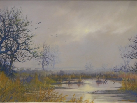 Jenny Morgan (20thC). Calm river landscape, birds in flight, oil on canvas, signed, 45cm x 65cm.