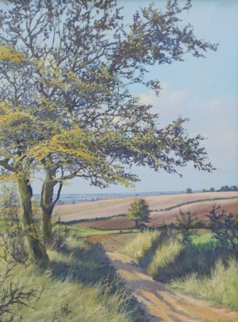 Jenny Morgan (20thC). Country scene, path and trees before fields, oil on canvas, signed, 63cm x 45cm.