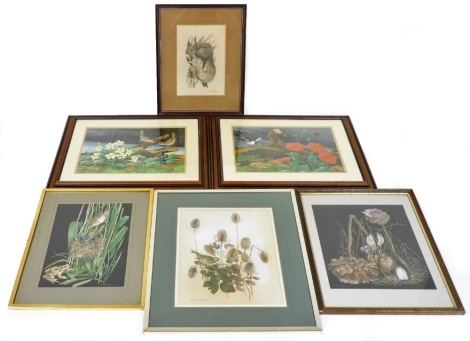 May Kempson (20thC School). Four watercolours, comprising Greenfinch, Grey Squirrel, study of a hare, and study of bird feeding young, each signed and dated, together with Frank Canning, Idle Gossip, and Tea For Two, acrylic on paper, 33cm x 45cm.