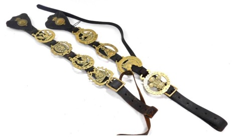 A pair of George V leather Martingales, with brass plaques, each bearing four horse brasses.