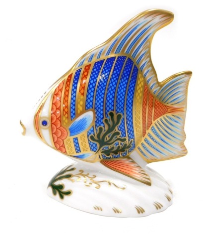 A Royal Crown Derby paperweight ornament Pacific Angelfish, limited edition number 2162/2500, gilt stopper, printed marks beneath, 12cm high.