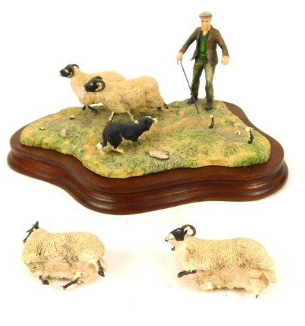 A Border Fine Arts sheep figure group, untitled, depicting shepherd, sheep dog and four sheep, on wooden base, with gold label, 26cm wide. (AF)