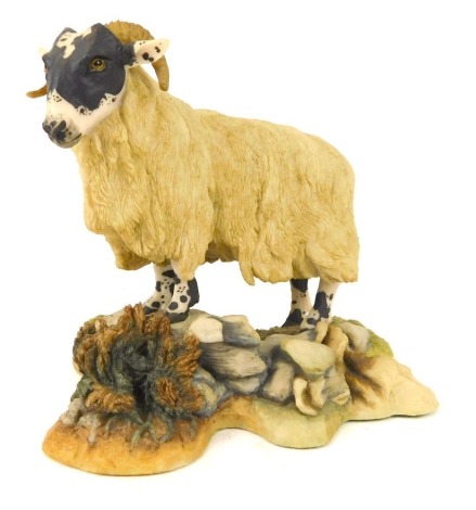 A Teviotdale sheep figure, on rock and heather base, 13cm high.