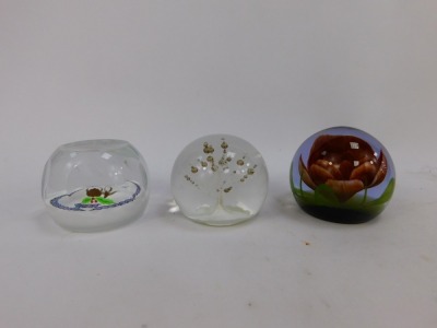 Five glass paperweights, comprising Caithness Robin and Kettle 217/1000, Selkirk Glass White Water Dust, Caithness Fragrance 197/250, Caithness Meteor 128/1000, and a large Selkirk Glass bubble dump 172/500. (5) - 2