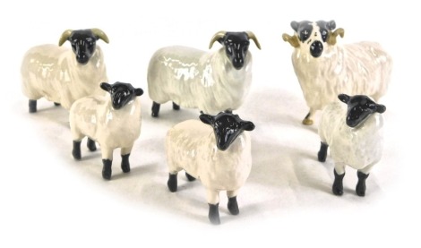 Six Beswick sheep, comprising ram, two sheep and three lambs.